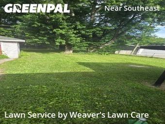 Lawn Care nearby Indianapolis, IN, 
