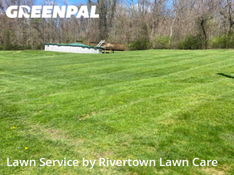 Lawn Care Service nearby Beaver Falls, PA, 