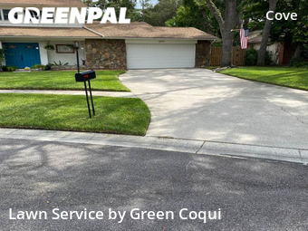 Lawn Cut nearby Tampa, FL, 