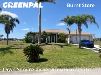 Lawn Mow nearby Cape Coral, VA, 