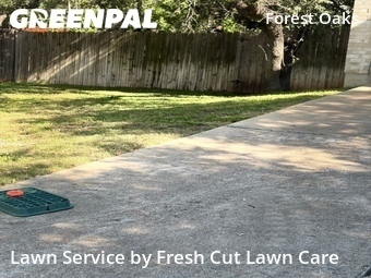Lawn Care nearby Cedar Park, TX, 