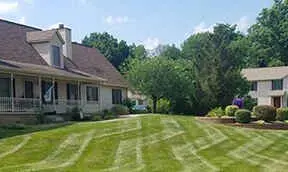 What are the best granular fertilizers on the market for your lawn?