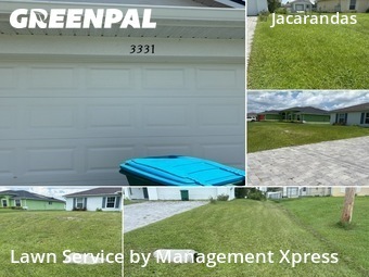 Grass Cutting nearby Cape Coral, FL, 