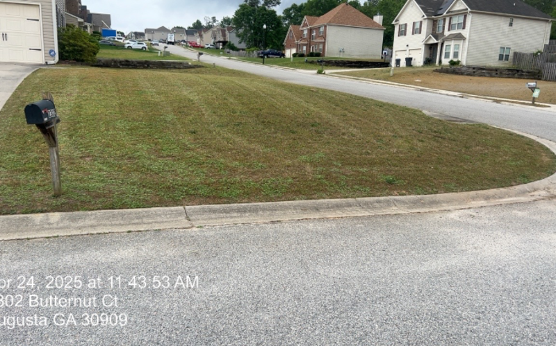 Work Image 4