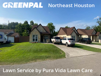 Grass Cut nearby Jacinto City, TX, 