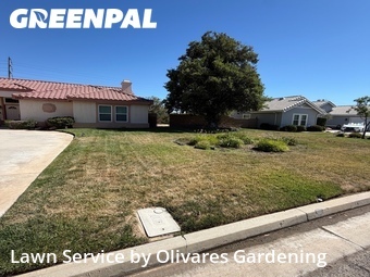 Backyard Landscaping In Palmdale,93551,Landscaping Maintenance by Olivares Gardening , work completed in Jun , 2026