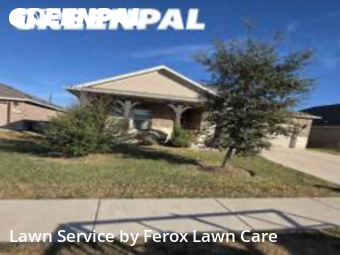 Yard Management in Manor, 78653, Yard Work by Ferox Lawn Care, work completed in Dec , 2025
