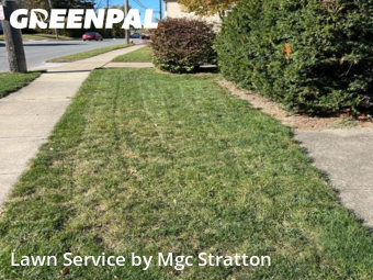Yard Services in Lakewood, 44107, Lawn Cutting by Mgc Stratton, work completed in Nov , 2025