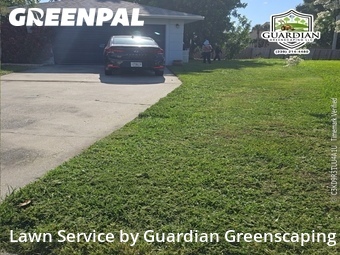 Lawn Cutting nearby Fort Myers, FL, 