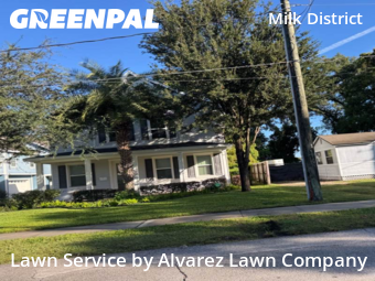 Grass Cutin Orlando,32803,Yard Cutting by Alvarez Lawn Company, work completed in Nov , 2025