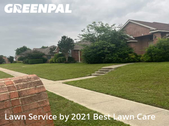 Lawn Cutting nearby Frisco, TX, 