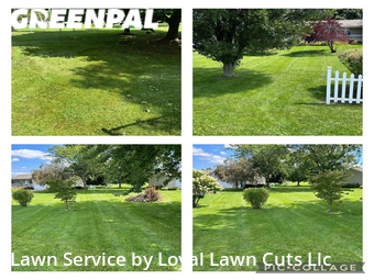 Lawn Mow nearby Vermilion, OH, 