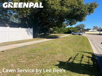 Grass Cutting nearby Orlando, FL, 