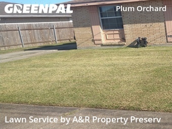 Lawn Care Service nearby New Orleans, LA, 