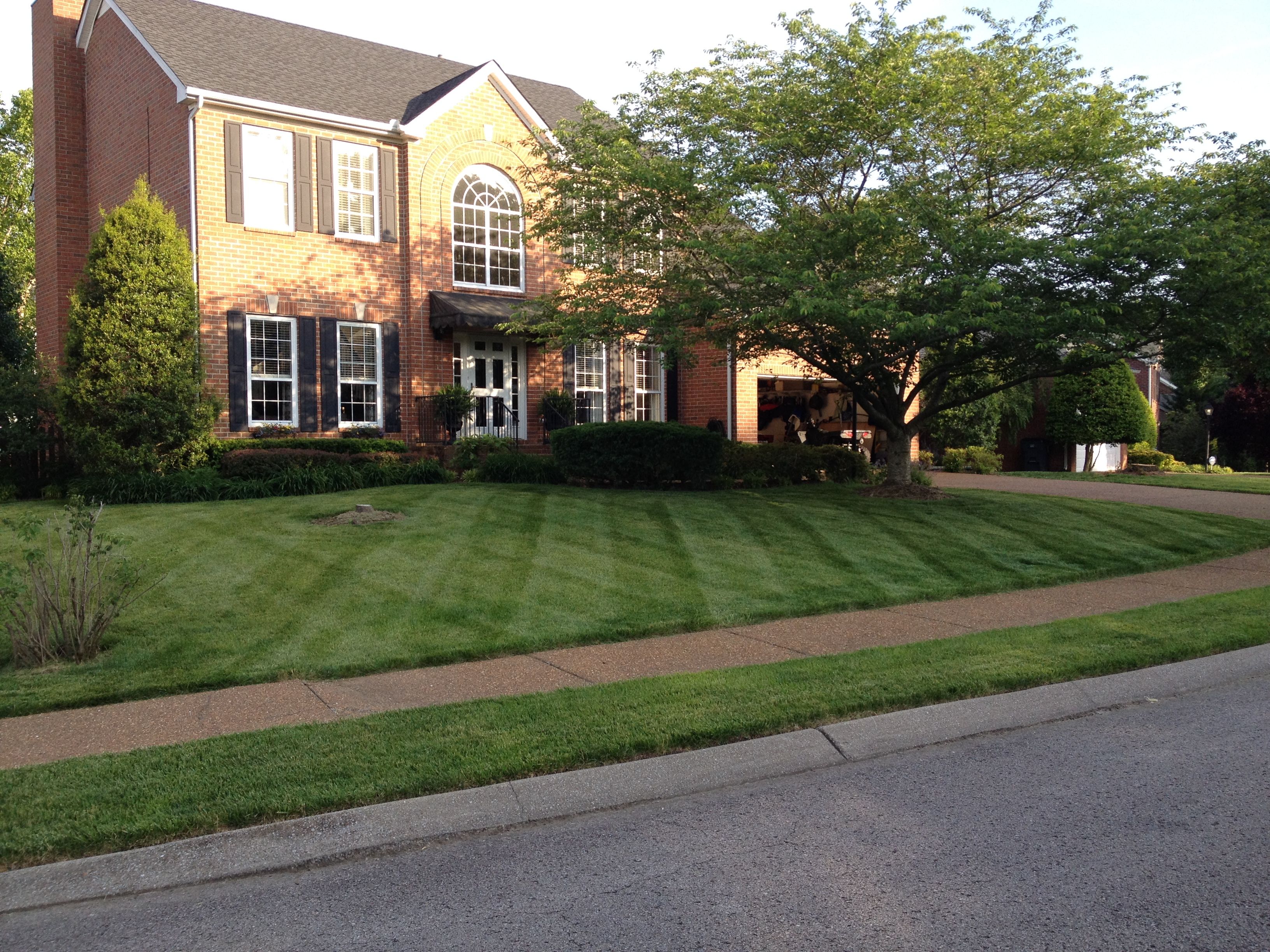 Yard mowing company in Nashville, TN, 37221