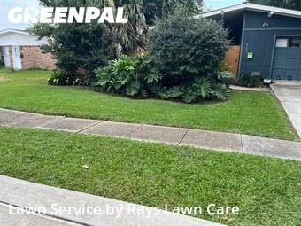 Lawn Mow nearby Terrytown, LA, 