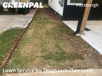 Lawn Care Service nearby Atlanta, GA, 