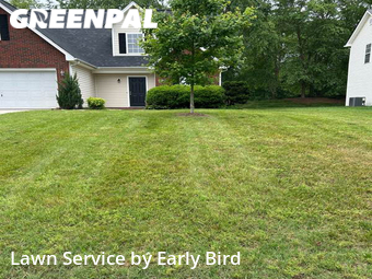 Lawn Cutting nearby Indian Trail, NC, 