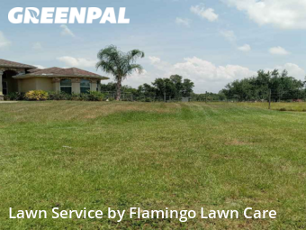Lawn Mow nearby Punta Gorda, FL, 