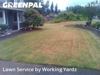 Lawn Care Service nearby Auburn, WA, 