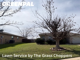 Lawn Cut nearby Krum, TX, 