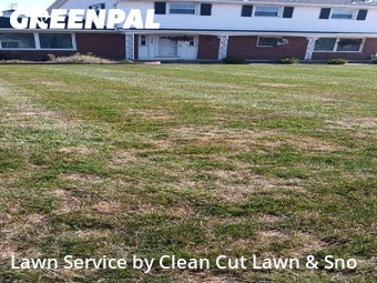 Grass Cut nearby Lansing, MI, 