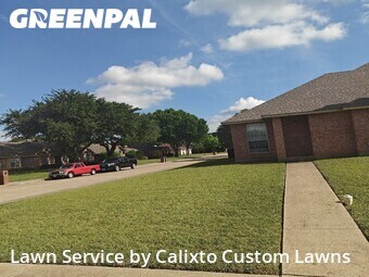 Grass Cut nearby De Soto, TX, 