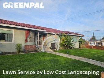 grass-trimming-service-in-Fresno-CA