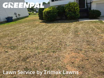 Grass Cutting nearby Mc Donough, GA, 