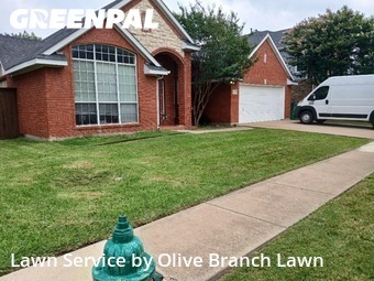 Lawn Mowingin Haltom City,76137,Yard Mowing by Olive Branch Lawn, work completed in Nov , 2025