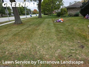 Lawn Upkeep in Lisle, 60532, Lawn Mowing by Terranova Landscape, work completed in Nov , 2025