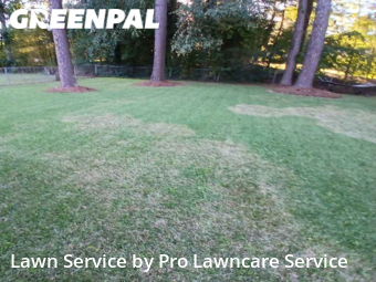 Lawn Mowing Service nearby Rocky Mount, NC, 