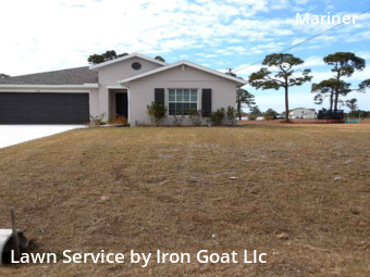 Yard Cutting nearby Cape Coral, FL, 