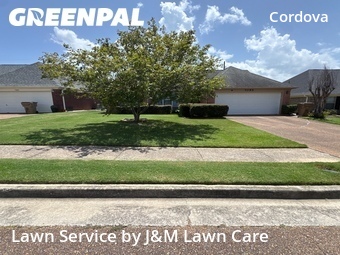 Lawn Mowing Service nearby Shelby County, TN, 