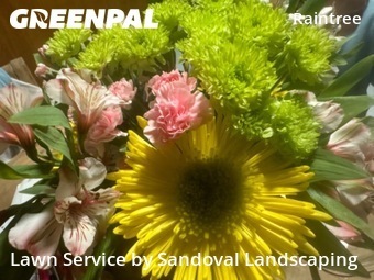 Grass Cutting nearby Lubbock, TX, 