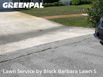 Grass Cut nearby West Palm Beach, FL, 