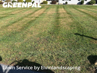 Work completed by the-yard-cutting-businesses-in-Westminster-CA