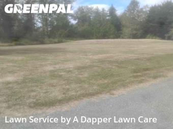 Lawn Care nearby Bellingham, WA, 