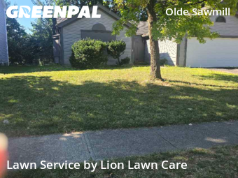 Work completed by the-yard-cutting-businesses-in-Dublin-CA
