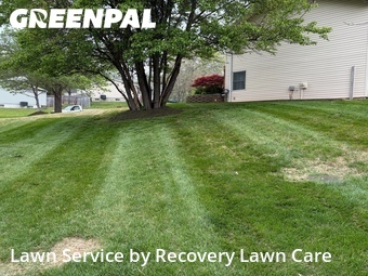Lawn Cutting nearby Florissant, MO, 