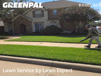Yard Cuttingin Plano,75025,Lawn Mow by Lawn Expert, work completed in Oct , 2025