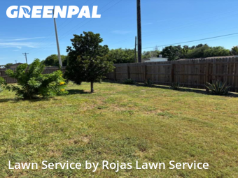 Grass Cutting nearby Harlingen, TX, 