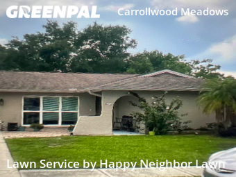 Lawn Mow nearby Tampa, FL, 