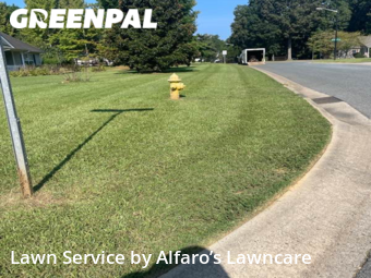 Grass Cutting nearby Monroe, NC, 