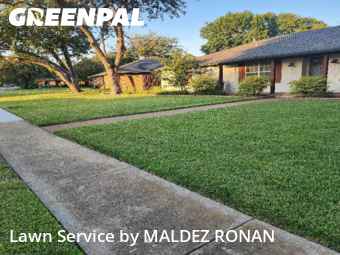 Grass Cuttingin Richardson,75080,Lawn Mowing Service by MALDEZ RONAN, work completed in Dec , 2025
