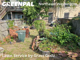 Lawn Maintenance nearby Washington, DC, 