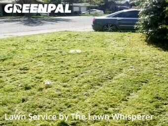 Yard Cutting nearby Sacramento, CA, 