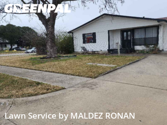 Yard Cuttingin Garland,75040,Yard Cutting by MALDEZ RONAN, work completed in Feb , 2026