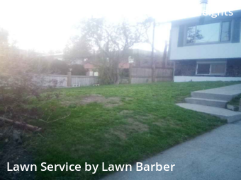 Lawn Care Service nearby Spokane, WA, 