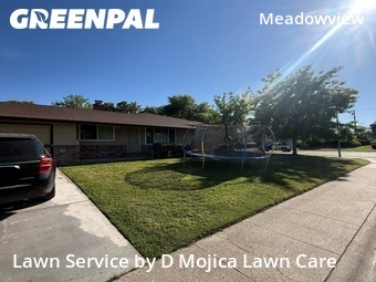 Lawn Cut nearby Sacramento, CA, 